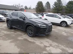 2T2AGCEZ8SC067409 2025 LEXUS NX