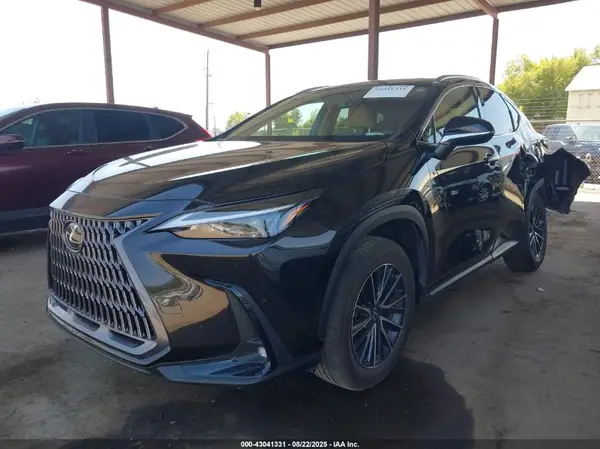 2T2AGCEZ9RC052783 2024 LEXUS NX - Image 2