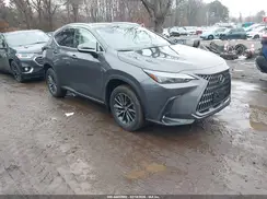 2T2AGCEZ9RC053772 2024 LEXUS NX