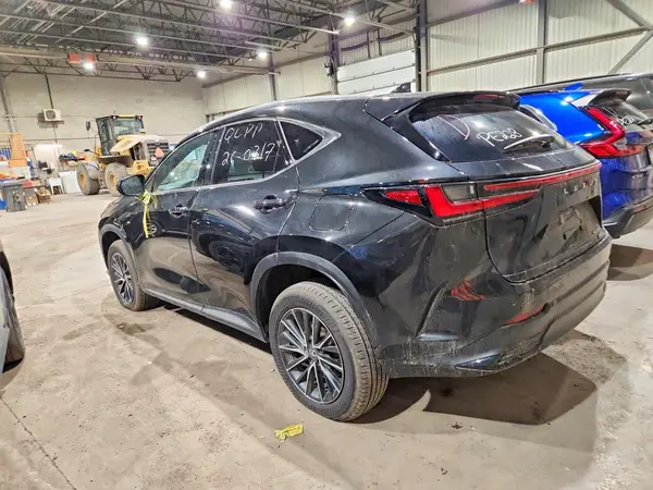2T2AGCEZ9SC076345 2025 LEXUS NX - Image 2