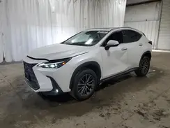 2T2AGCEZXRC034096 2024 LEXUS NX