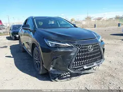 2T2AKCEZ0RC028998 2024 LEXUS NX
