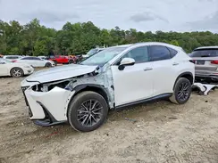 2T2AKCEZ1RC017038 2024 LEXUS NX