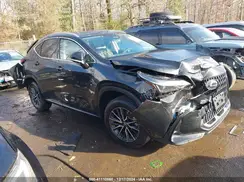 2T2AKCEZ1RC029383 2024 LEXUS NX
