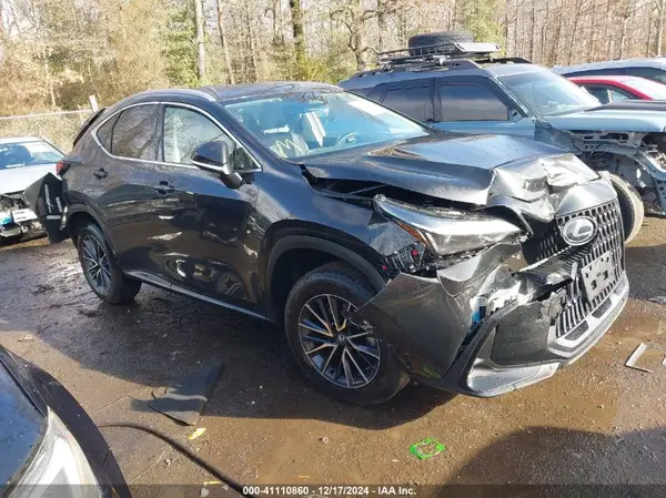 2T2AKCEZ1RC029383 2024 LEXUS NX - Image 1