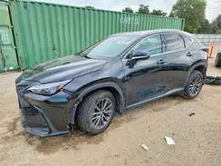 2T2AKCEZ2PC012749 2023 LEXUS NX