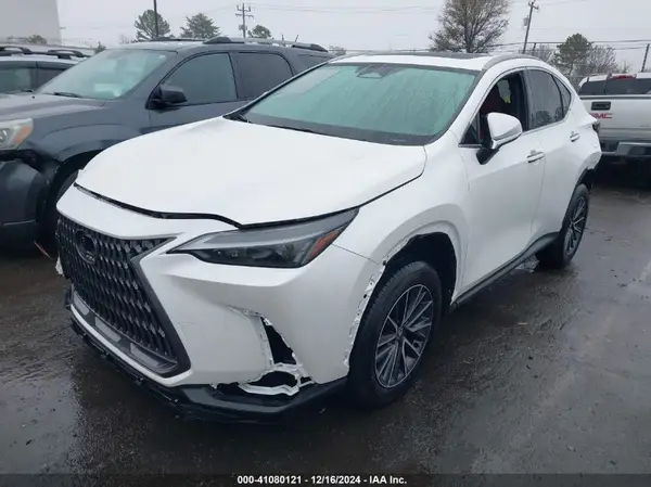 2T2AKCEZ4RC029359 2024 LEXUS NX - Image 2