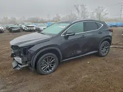 2T2AKCEZ4SC046619 2025 LEXUS NX