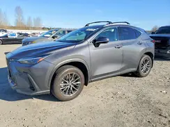 2T2AKCEZ6RC018704 2024 LEXUS NX
