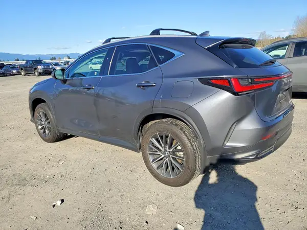 2T2AKCEZ6RC018704 2024 LEXUS NX - Image 2