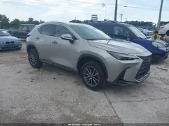 2T2AKCEZ7RC023491 2024 LEXUS NX