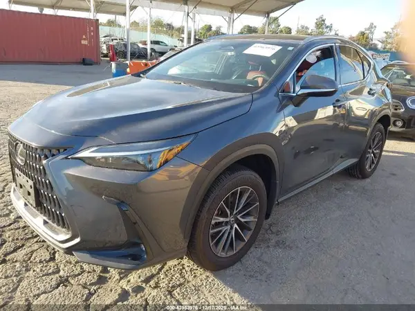 2T2AKCEZ7RC024785 2024 LEXUS NX - Image 2