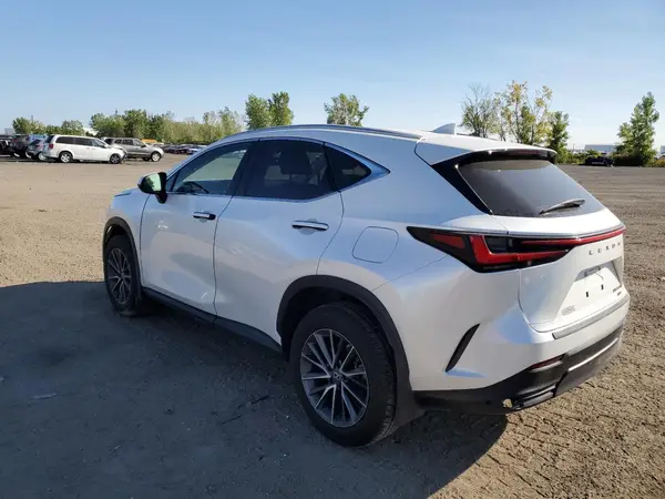 2T2AKCEZXPC014216 2023 LEXUS NX - Image 2