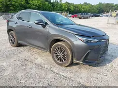 2T2AKCEZXRC024912 2024 LEXUS NX