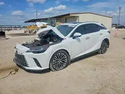2T2BAMBA0RC023523 2024 LEXUS RX