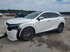 2T2BAMBA5RC023937 2024 LEXUS RX