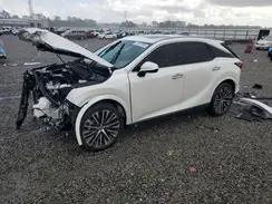 2T2BAMBA6RC026667 2024 LEXUS RX