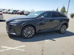 2T2BAMBAXRC024971 2024 LEXUS RX