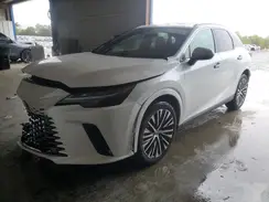 2T2BAMBAXRC036523 2024 LEXUS RX