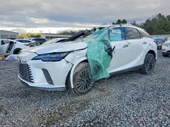 2T2BAMBAXRC051037 2024 LEXUS RX