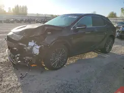2T2BAMCA0RC077855 2024 LEXUS RX