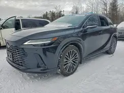 2T2BAMCA0RC086796 2024 LEXUS RX
