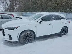 2T2BAMCA1PC007391 2023 LEXUS RX