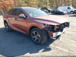 2T2BAMCA1RC065990 2024 LEXUS RX