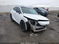 2T2BAMCA2RC069045 2024 LEXUS RX