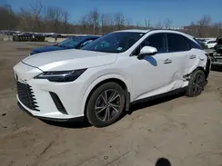 2T2BAMCA4RC067734 2024 LEXUS RX
