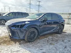 2T2BAMCA6SC109701 2025 LEXUS RX