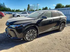 2T2BAMCA7RC078176 2024 LEXUS RX