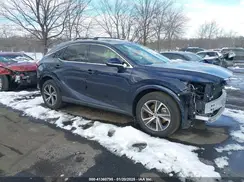 2T2BAMCA9RC041002 2024 LEXUS RX