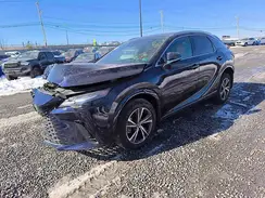 2T2BAMCA9RC082066 2024 LEXUS RX