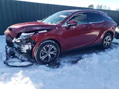 2T2BAMCAXPC006112 2023 LEXUS RX
