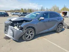 2T2BAMCAXPC019622 2023 LEXUS RX