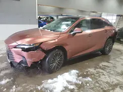 2T2BAMCAXPC036808 2023 LEXUS RX