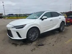 2T2BBMCA0RC029348 2024 LEXUS RX