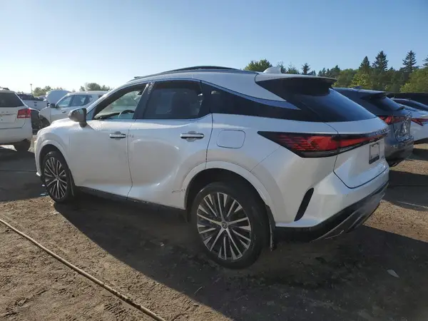 2T2BBMCA2RC026628 2024 LEXUS RX - Image 2