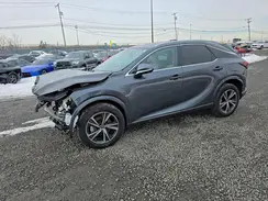 2T2BBMCA3RC054664 2024 LEXUS RX