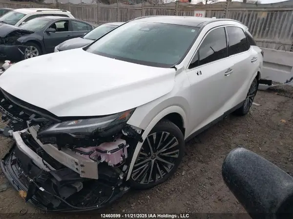 2T2BBMCA4RC052342 2024 LEXUS RX - Image 2