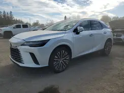 2T2BBMCA6RC030942 2024 LEXUS RX