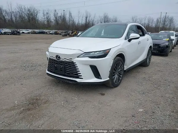 2T2BBMCA7RC030271 2024 LEXUS RX - Image 2