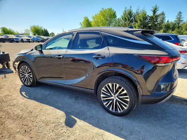 2T2BBMCA9RC035312 2024 LEXUS RX - Image 2