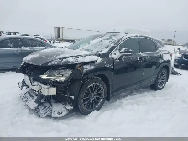2T2BGMCA3HC010728 2017 LEXUS RX - Image 2