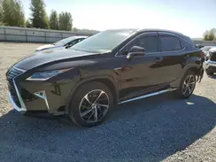 2T2BZMCA3HC057266 2017 LEXUS RX