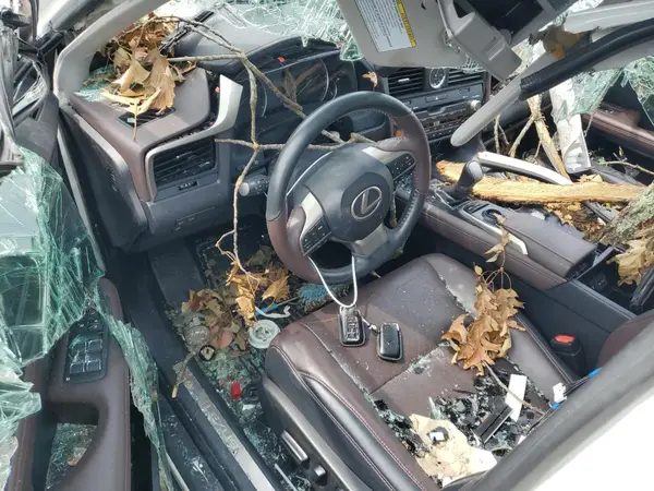 2T2BZMCA8JC138673 2018 LEXUS RX - Image 8