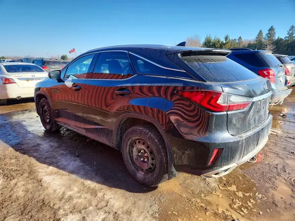 2T2BZMCA9KC181193 2019 LEXUS RX - Image 2