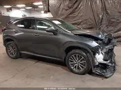 2T2GDCAZ0PC004515 2023 LEXUS NX