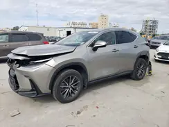 2T2GDCAZ0RC008356 2024 LEXUS NX